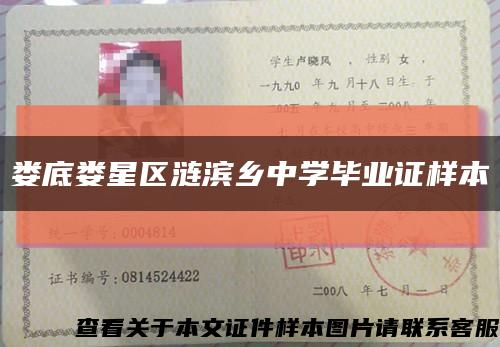 娄底娄星区涟滨乡中学毕业证样本缩略图