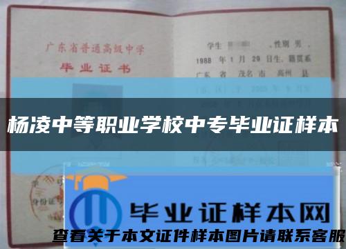 杨凌中等职业学校中专毕业证样本缩略图