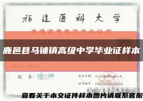 鹿邑县马铺镇高级中学毕业证样本缩略图