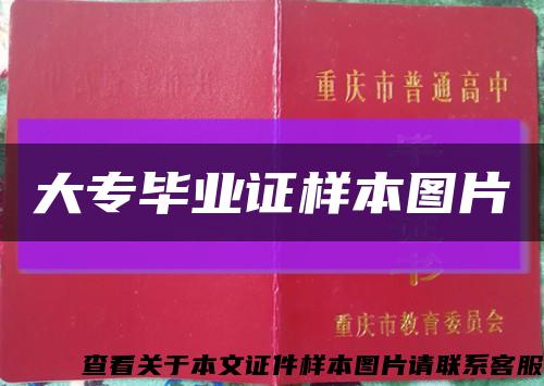 大专毕业证样本图片缩略图