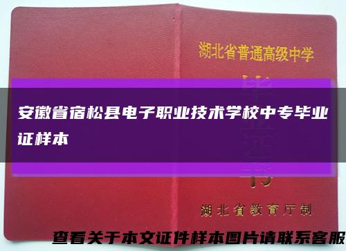 安徽省宿松县电子职业技术学校中专毕业证样本缩略图