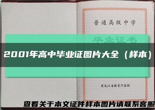 2001年高中毕业证图片大全（样本）缩略图