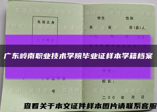 广东岭南职业技术学院毕业证样本学籍档案缩略图