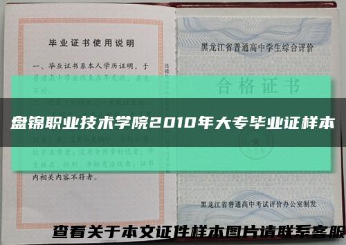 盘锦职业技术学院2010年大专毕业证样本缩略图