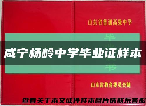 咸宁杨岭中学毕业证样本缩略图