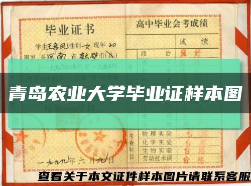 青岛农业大学毕业证样本图缩略图