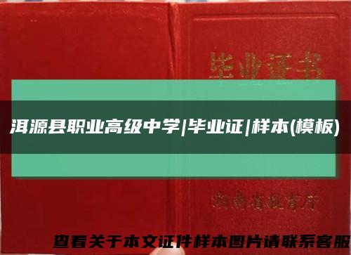 洱源县职业高级中学|毕业证|样本(模板)缩略图