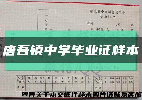 唐吾镇中学毕业证样本缩略图