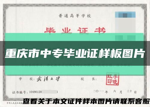 重庆市中专毕业证样板图片缩略图
