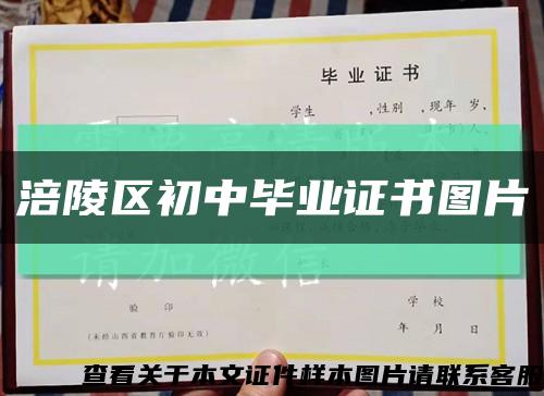 涪陵区初中毕业证书图片缩略图