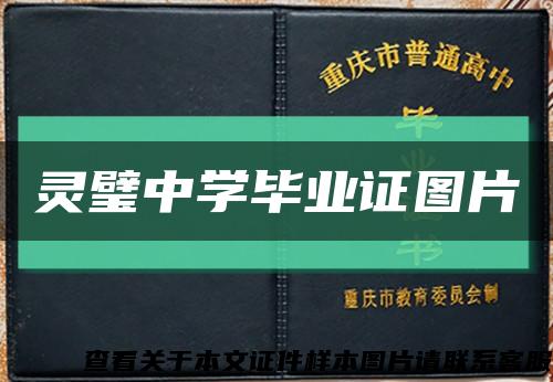 灵璧中学毕业证图片缩略图