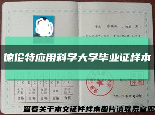 德伦特应用科学大学毕业证样本缩略图