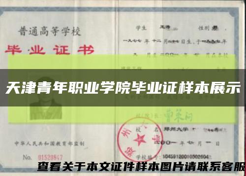 天津青年职业学院毕业证样本展示缩略图