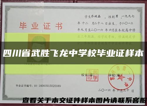 四川省武胜飞龙中学校毕业证样本缩略图