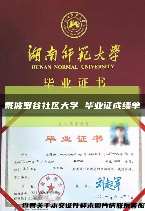 戴波罗谷社区大学 毕业证成绩单缩略图