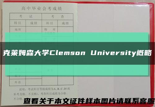 克莱姆森大学Clemson University概略缩略图