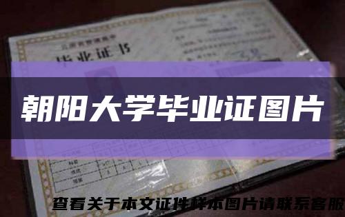 朝阳大学毕业证图片缩略图