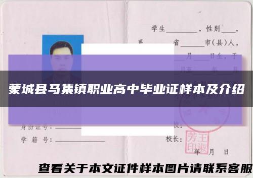 蒙城县马集镇职业高中毕业证样本及介绍缩略图