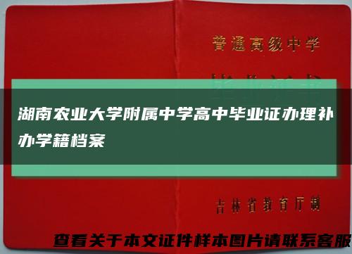 湖南农业大学附属中学高中毕业证办理补办学籍档案缩略图