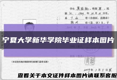 宁夏大学新华学院毕业证样本图片缩略图