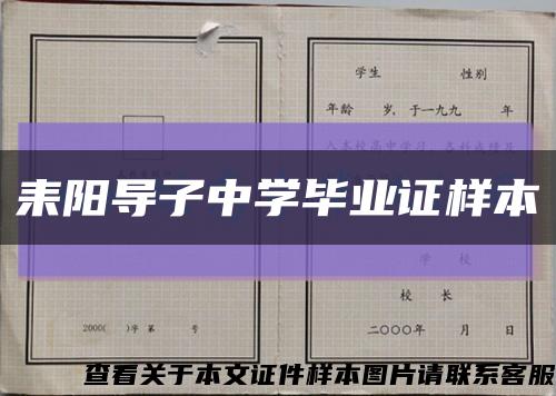 耒阳导子中学毕业证样本缩略图