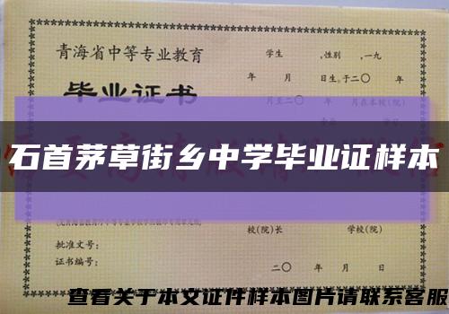 石首茅草街乡中学毕业证样本缩略图