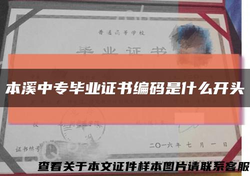 本溪中专毕业证书编码是什么开头缩略图