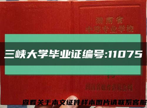 三峡大学毕业证编号:11075缩略图