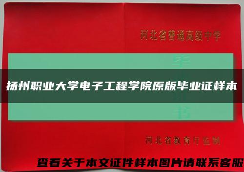 扬州职业大学电子工程学院原版毕业证样本缩略图