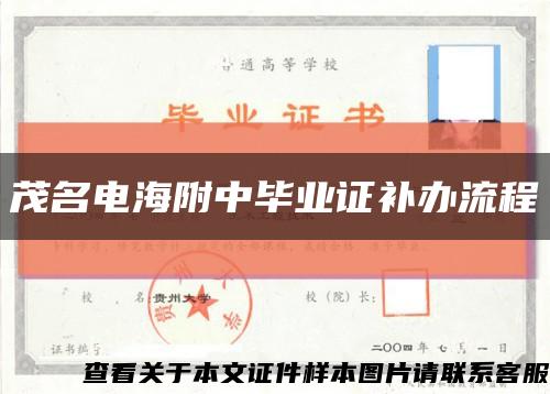 茂名电海附中毕业证补办流程缩略图