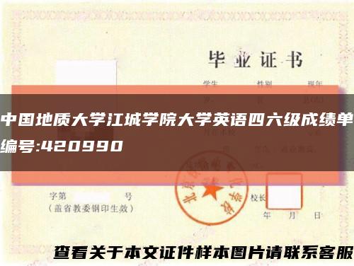 中国地质大学江城学院大学英语四六级成绩单编号:420990缩略图