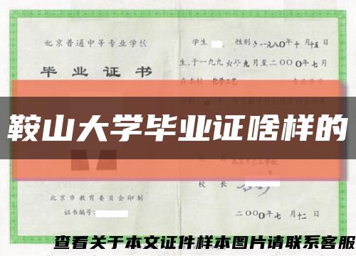 鞍山大学毕业证啥样的缩略图