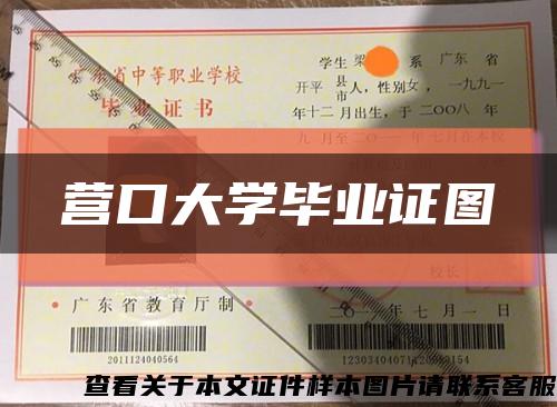 营口大学毕业证图缩略图