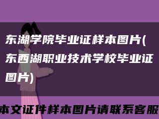 东湖学院毕业证样本图片(东西湖职业技术学校毕业证图片)缩略图