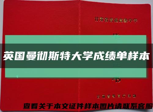 英国曼彻斯特大学成绩单样本缩略图
