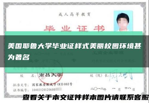 美国耶鲁大学毕业证样式美丽校园环境甚为著名缩略图