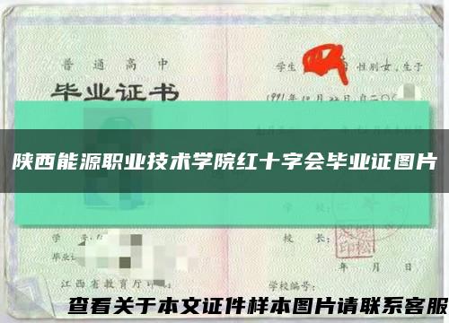 陕西能源职业技术学院红十字会毕业证图片缩略图