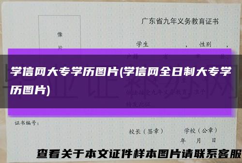 学信网大专学历图片(学信网全日制大专学历图片)缩略图