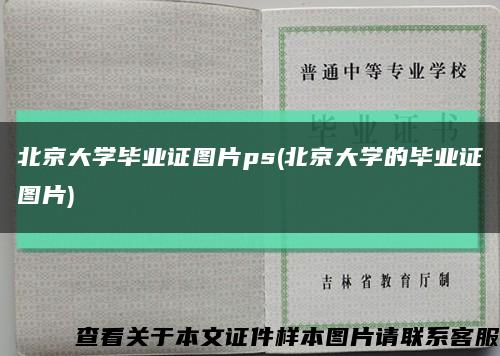 北京大学毕业证图片ps(北京大学的毕业证图片)缩略图