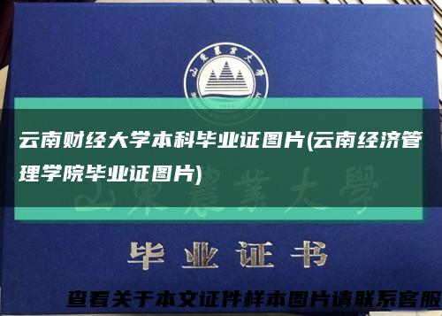 云南财经大学本科毕业证图片(云南经济管理学院毕业证图片)缩略图