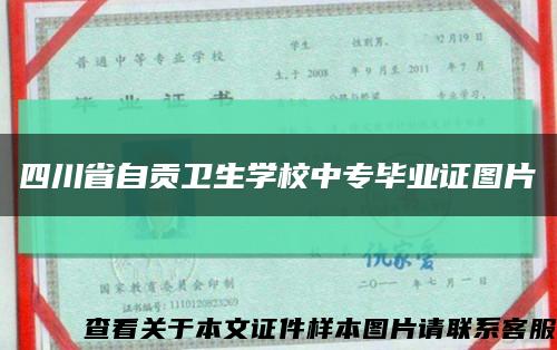 四川省自贡卫生学校中专毕业证图片缩略图