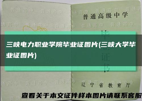 三峡电力职业学院毕业证图片(三峡大学毕业证图片)缩略图