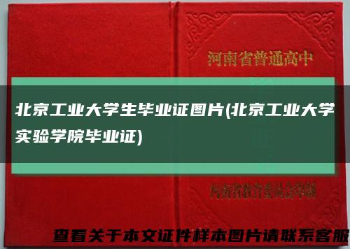 北京工业大学生毕业证图片(北京工业大学实验学院毕业证)缩略图