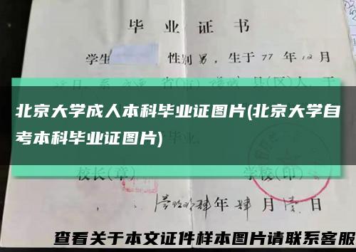 北京大学成人本科毕业证图片(北京大学自考本科毕业证图片)缩略图