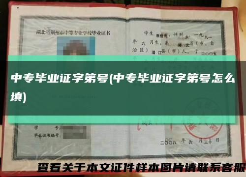 中专毕业证字第号(中专毕业证字第号怎么填)缩略图