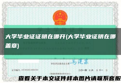 大学毕业证证明在哪开(大学毕业证明在哪盖章)缩略图