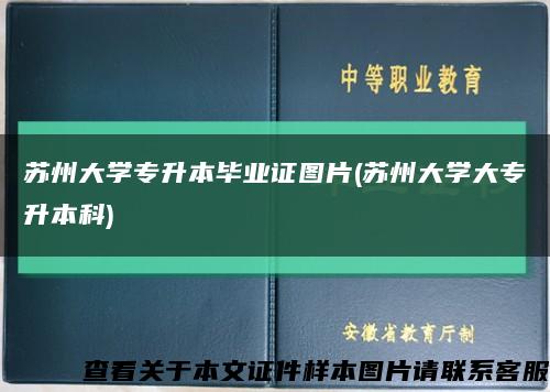 苏州大学专升本毕业证图片(苏州大学大专升本科)缩略图