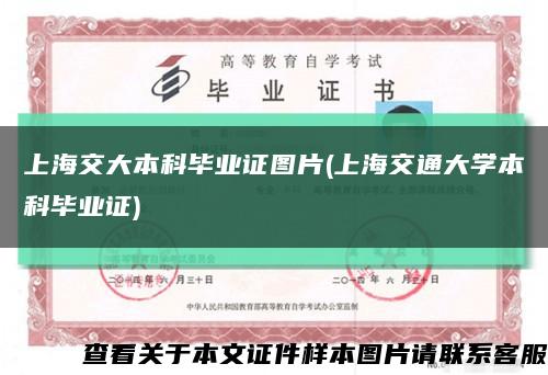 上海交大本科毕业证图片(上海交通大学本科毕业证)缩略图