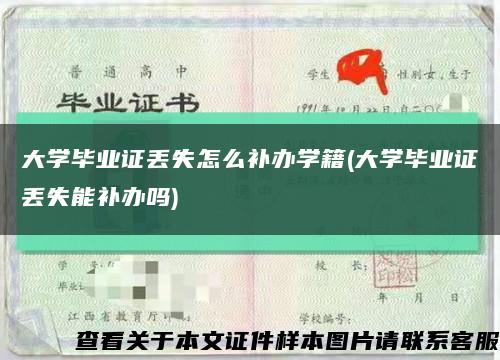 大学毕业证丢失怎么补办学籍(大学毕业证丢失能补办吗)缩略图