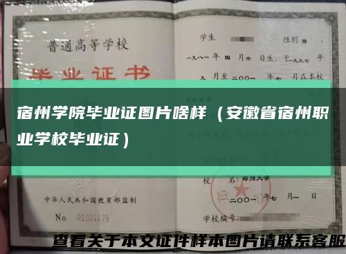 宿州学院毕业证图片啥样（安徽省宿州职业学校毕业证）缩略图